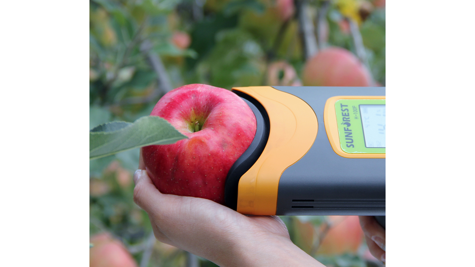 H100系列果實品質檢測儀