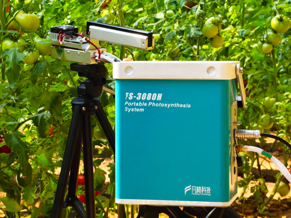 FS-3080H光合作用測定儀-泛勝科技