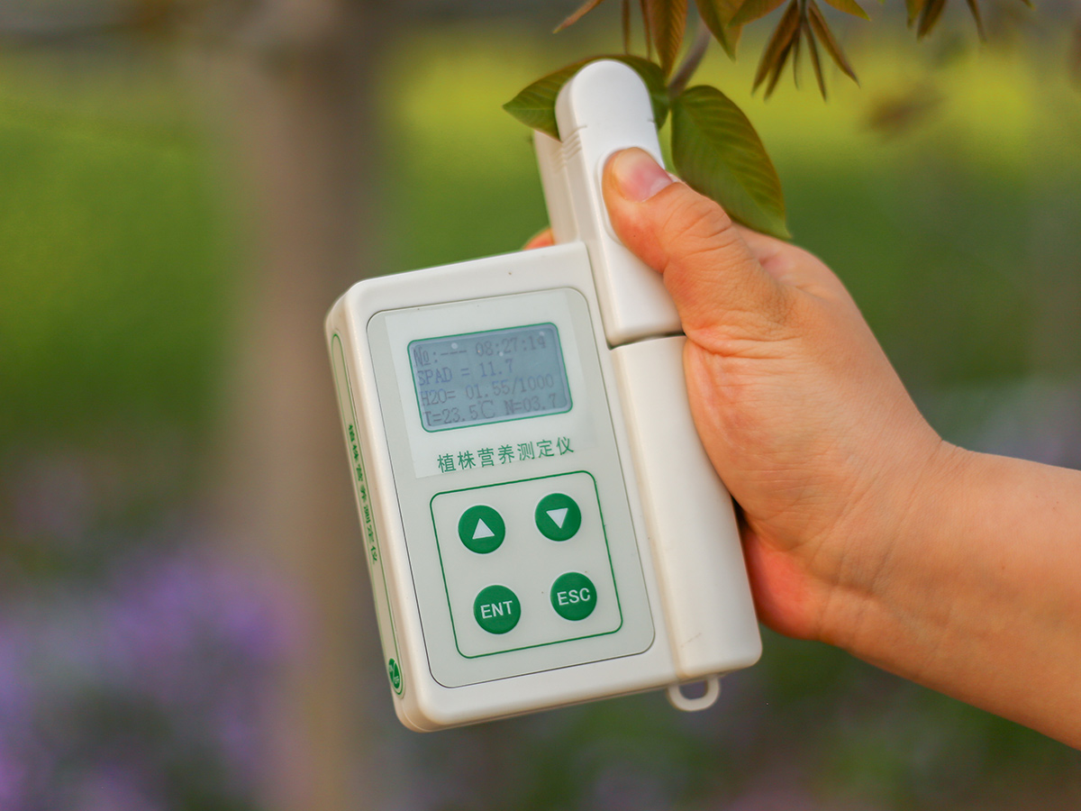 葉綠素儀,泛勝ZZY植株營養測定儀