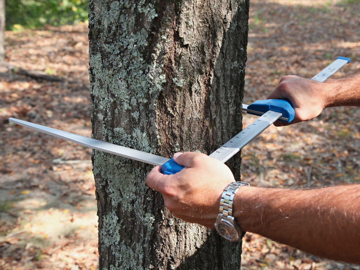 Mantax blue 藍色測徑儀